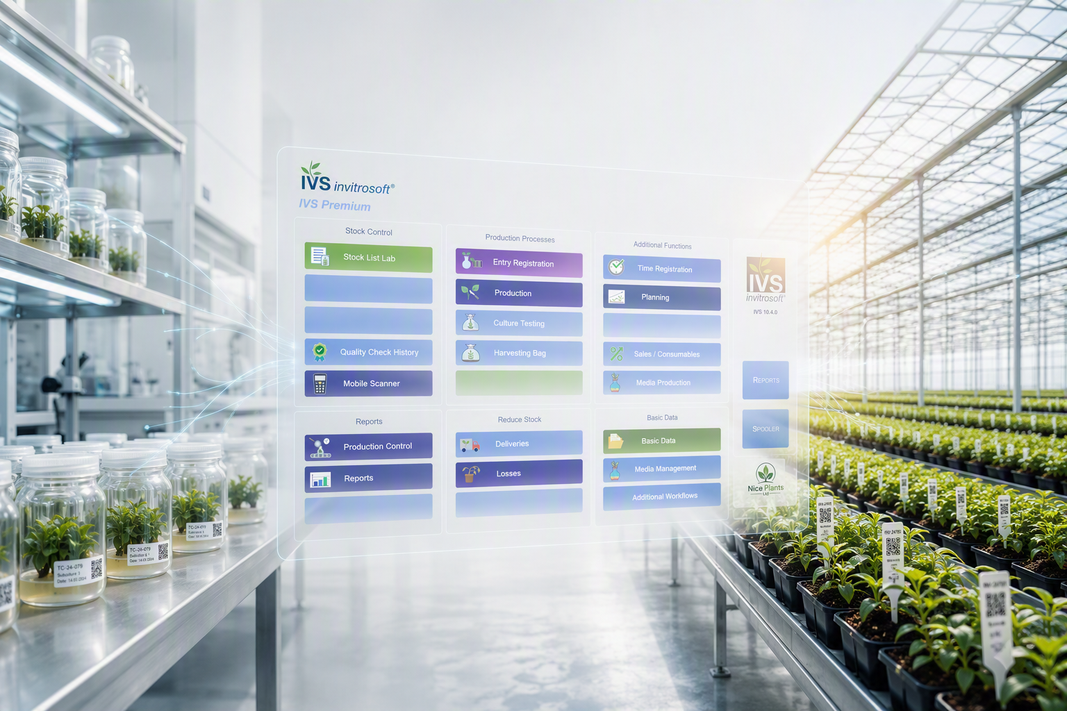 IVS platform connecting laboratory tissue culture to greenhouse production