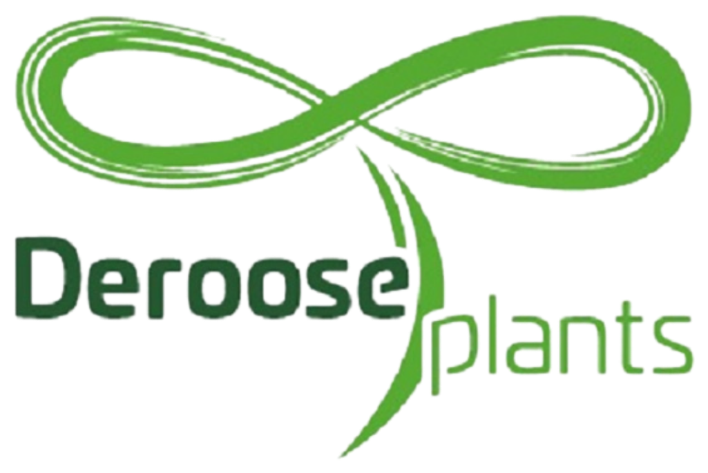 Deroose Plants